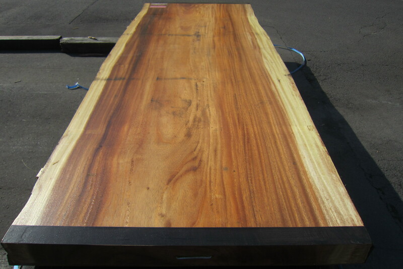 モンキーポット 6