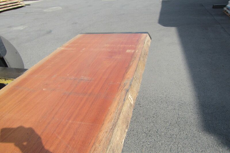 アフリカンマホガニー 6