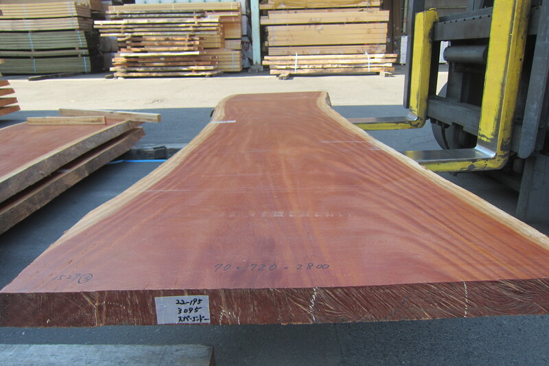 シンガポールマホガニー 8