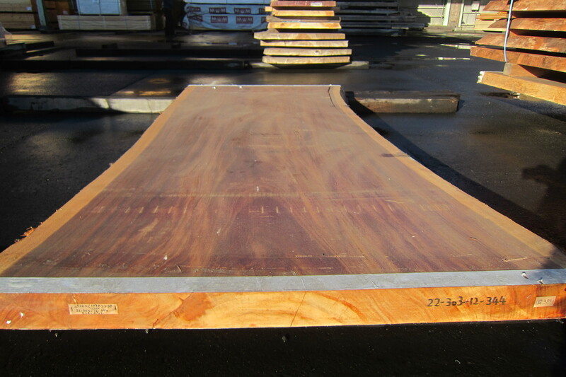 モンキーポット 2