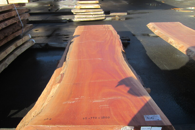 シンガポールマホガニー