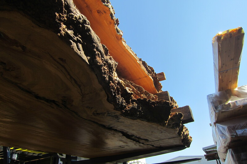 マーブルウッド 4