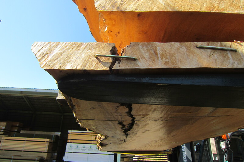 マーブルウッド 10