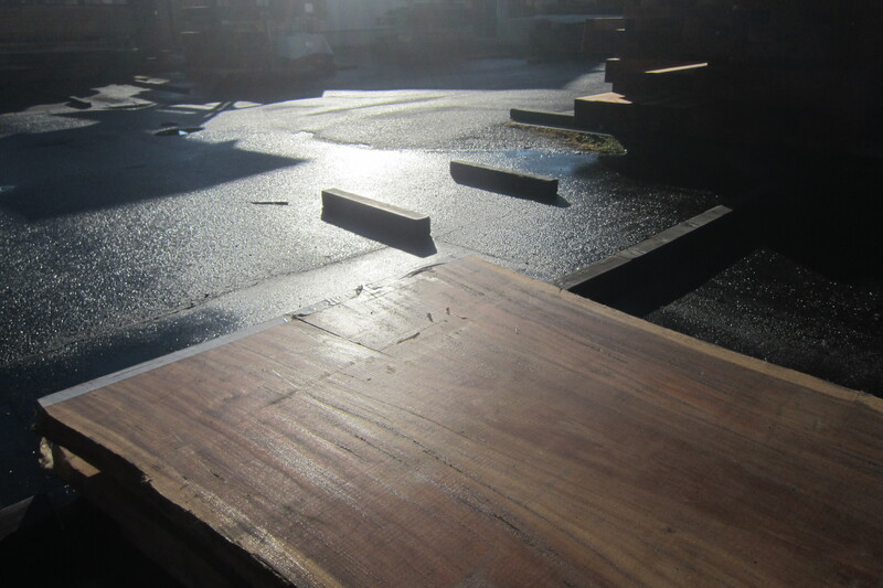 モンキーポット 6