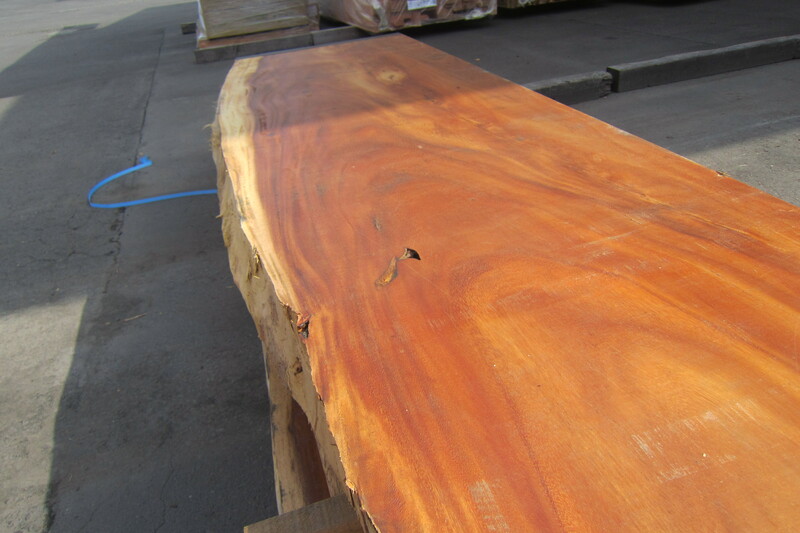 モンキーポット 3