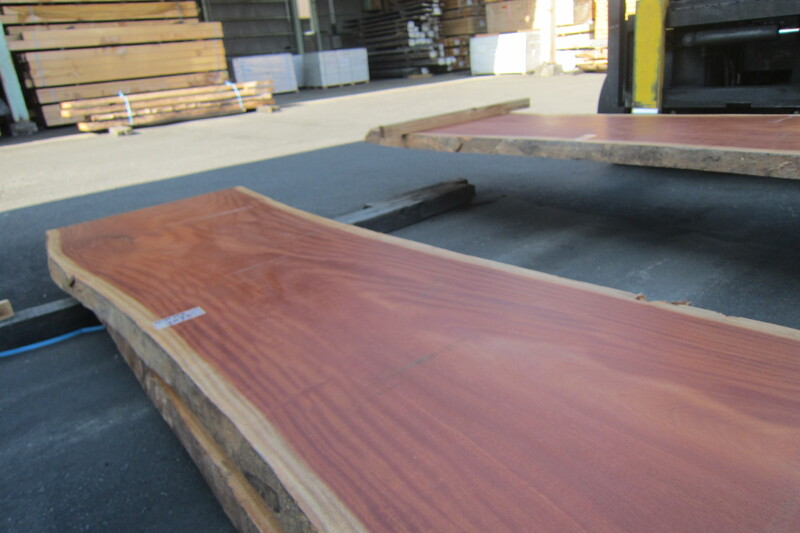 シンガポールマホガニー 2