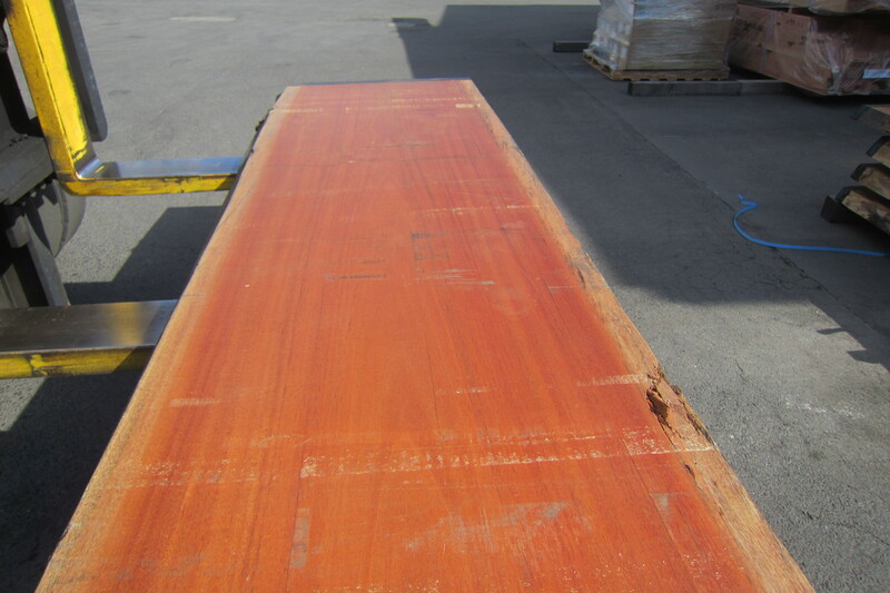 アフリカンマホガニー 3