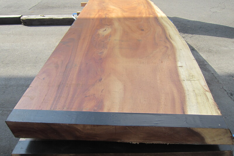 モンキーポット 8