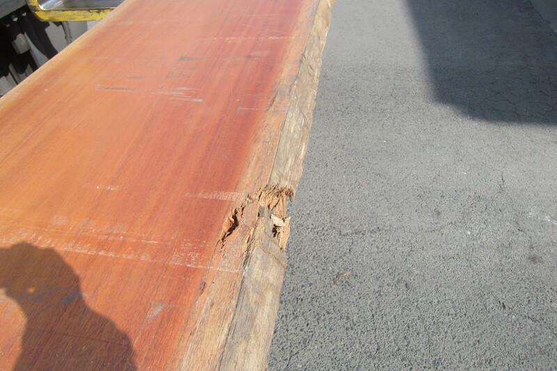 アフリカンマホガニー 5