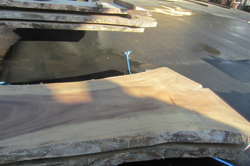 モンキーポット 5