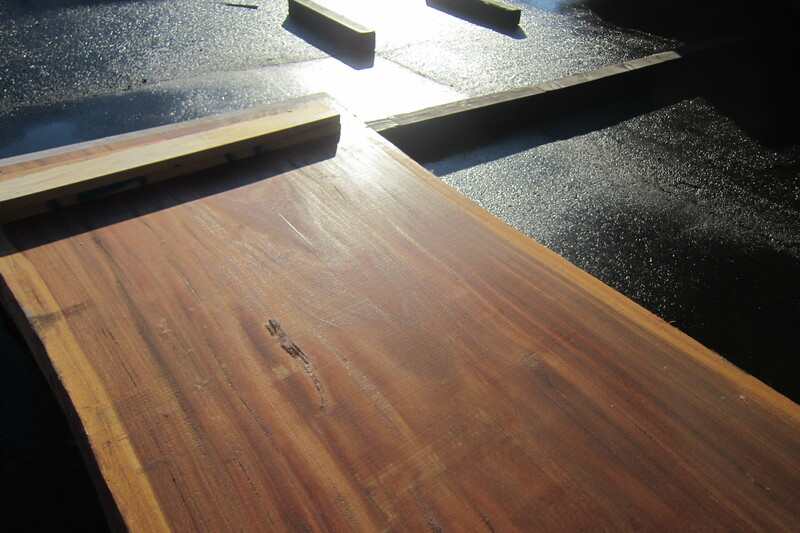 モンキーポット 6