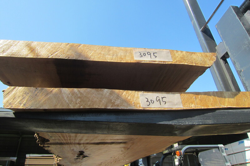 マーブルウッド 8