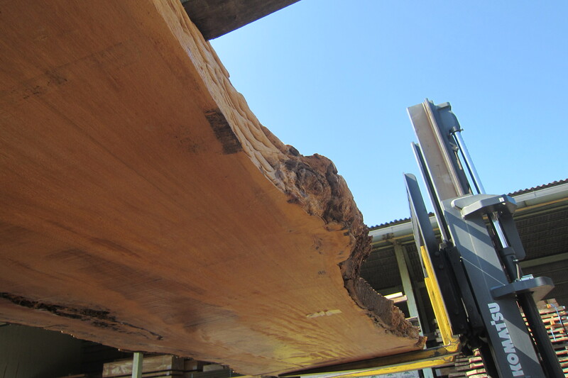 マーブルウッド 5