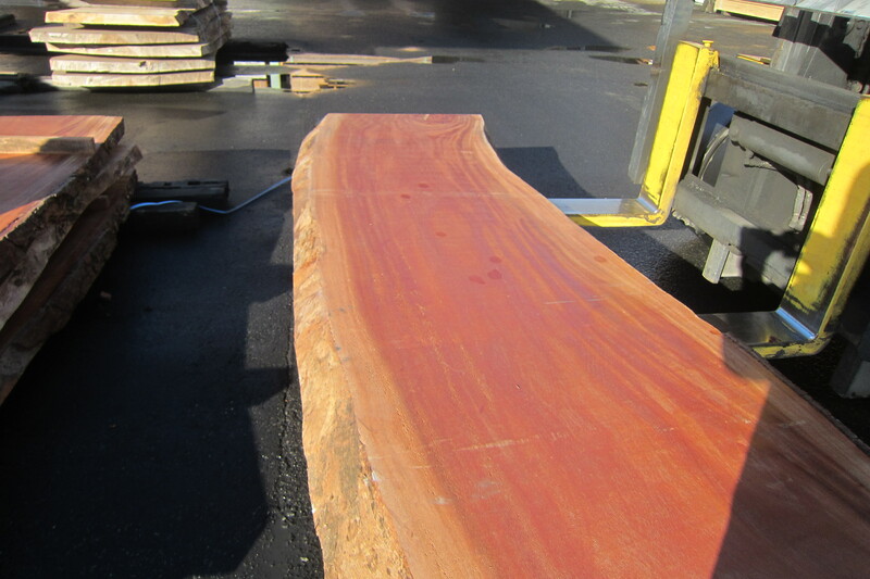 シンガポールマホガニー 2