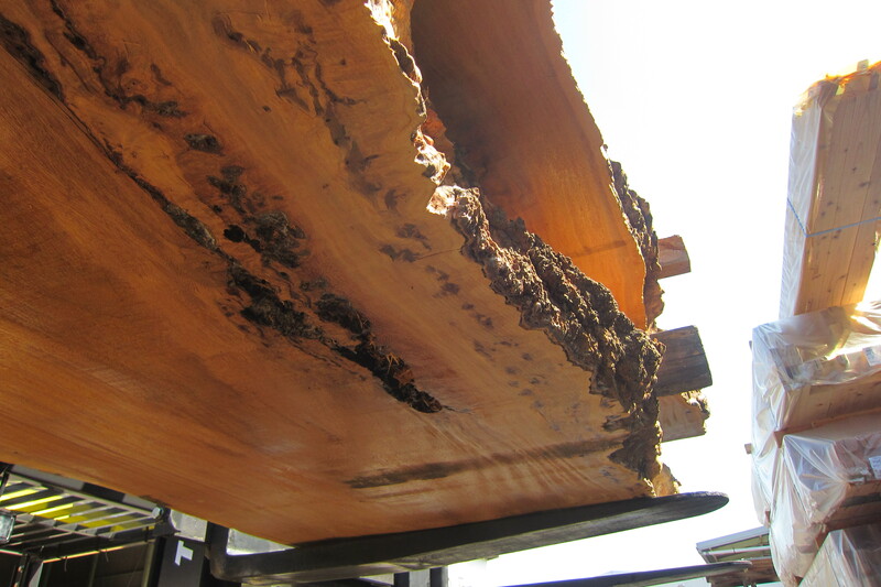 マーブルウッド 4