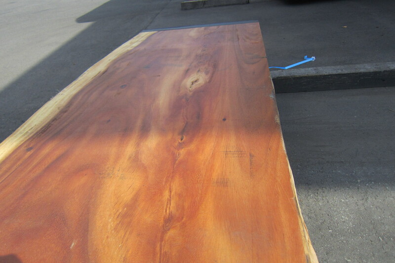 モンキーポット 5