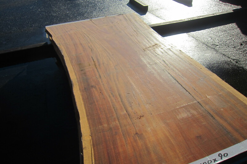 モンキーポット 2