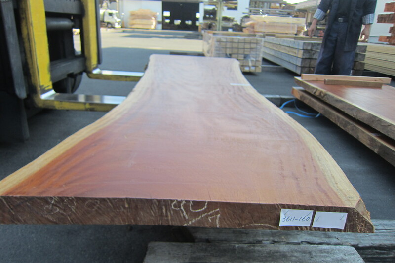 シンガポールマホガニー