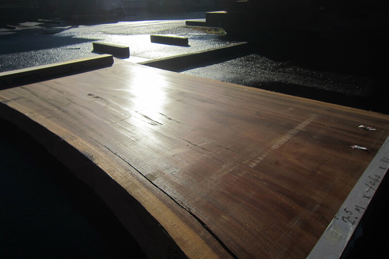 モンキーポット 5