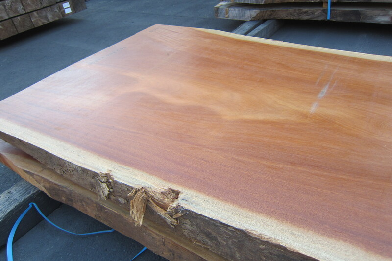 シンガポールマホガニー 3