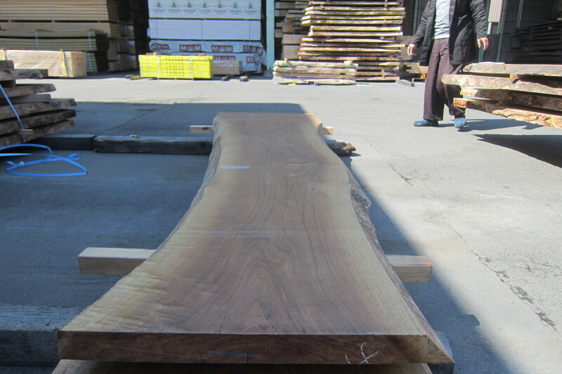 ブラックウォールナット 5