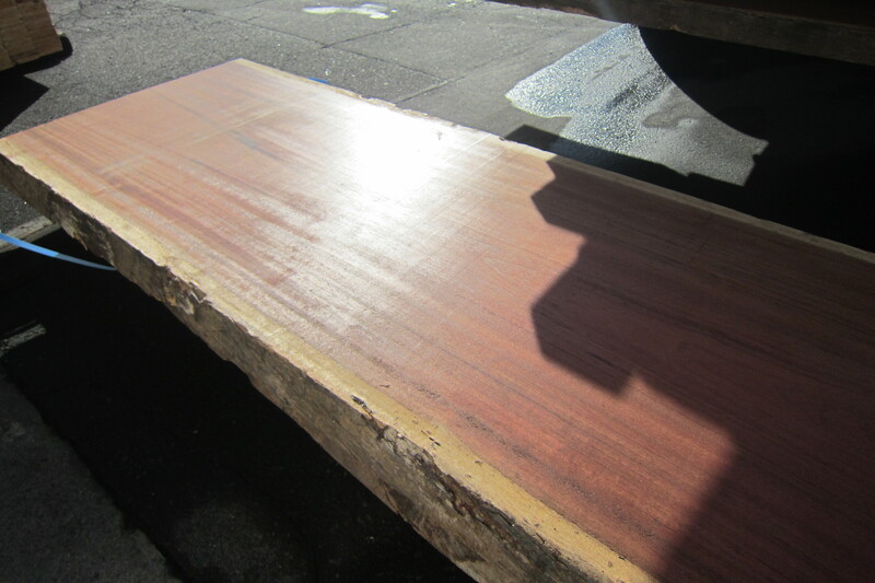 パープルハート 6