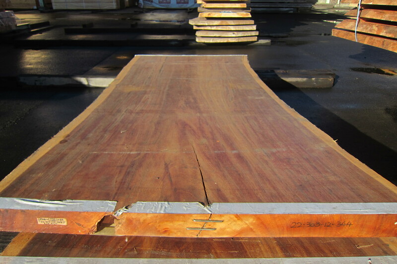 モンキーポット 8