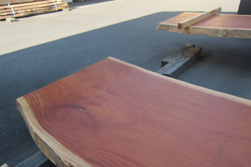 シンガポールマホガニー 4