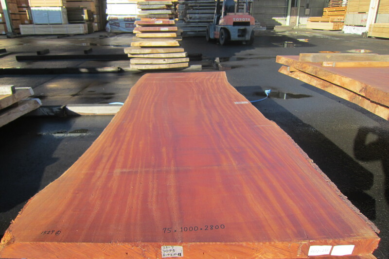 シンガポールマホガニー