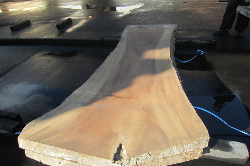 モンキーポット 7