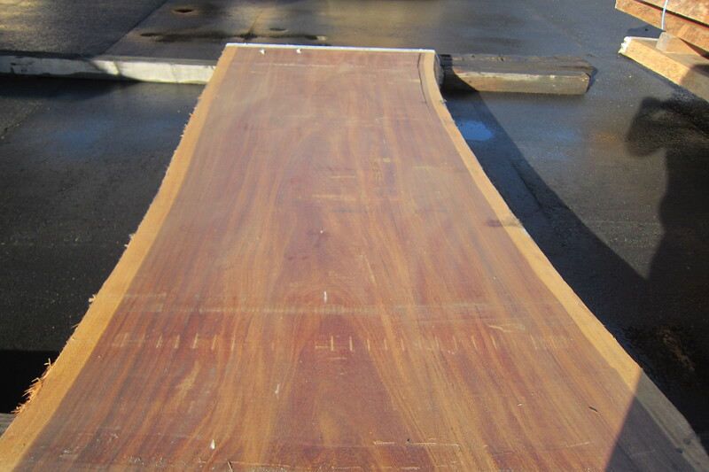 モンキーポット 9