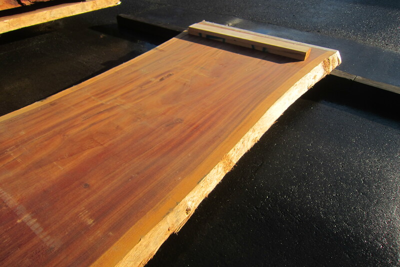 モンキーポット 7