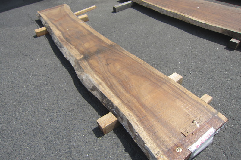 モンキーポット 2