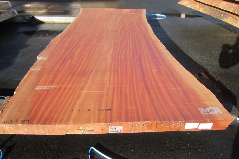 シンガポールマホガニー