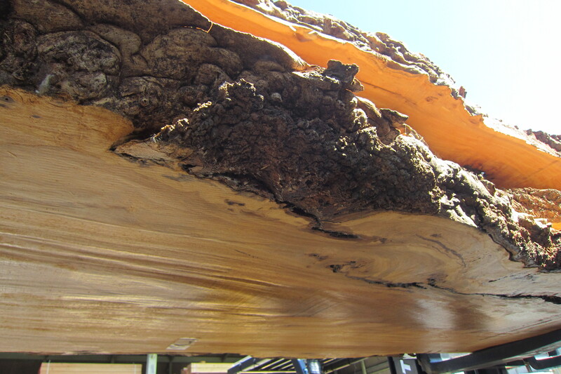 マーブルウッド 5