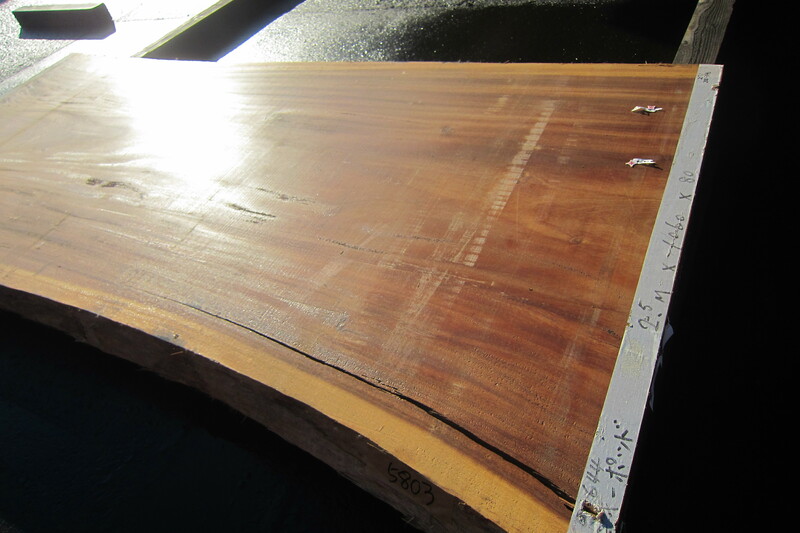 モンキーポット 8