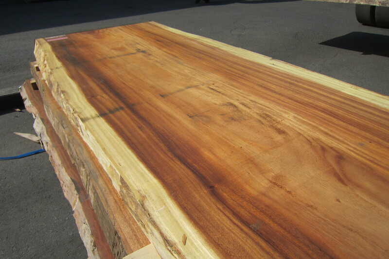 モンキーポット 5