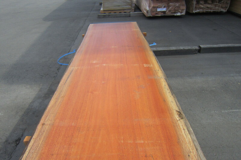 アフリカンマホガニー 2