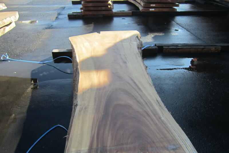 モンキーポット 2