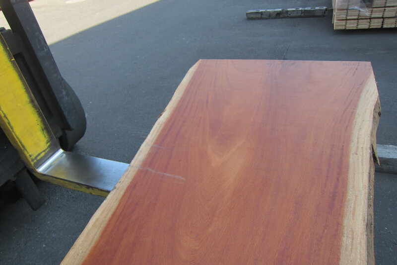 シンガポールマホガニー 6