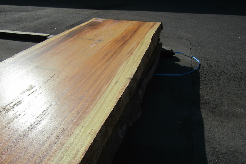 モンキーポット 7