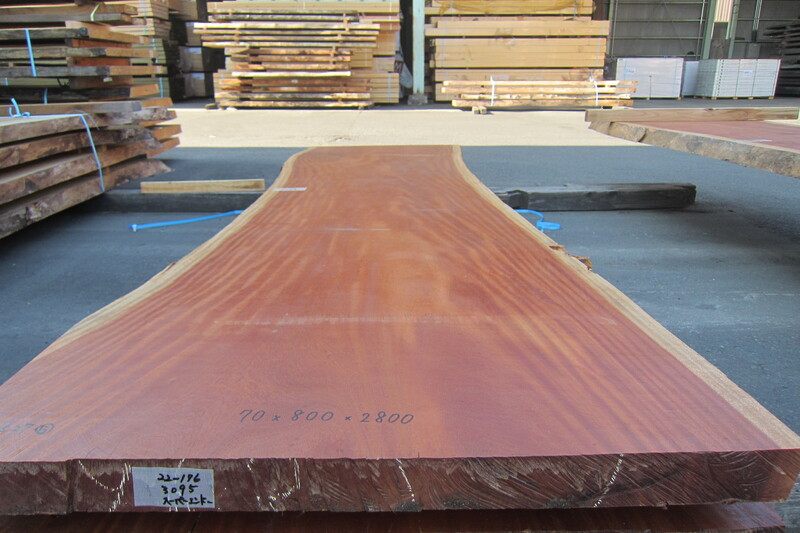 シンガポールマホガニー 5