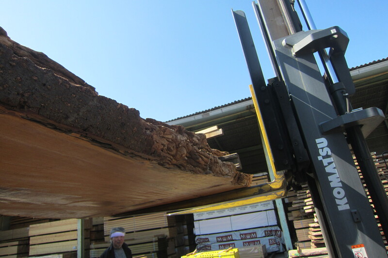 マーブルウッド 6