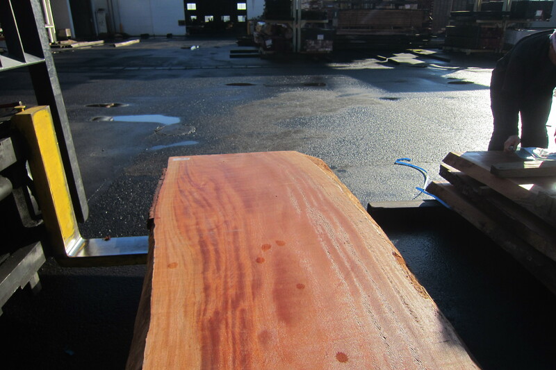 シンガポールマホガニー 5