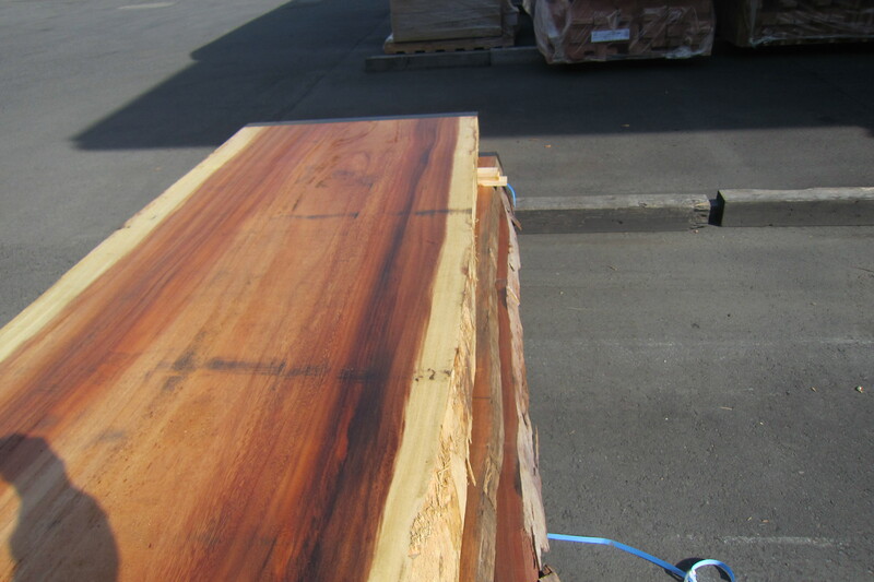 モンキーポット 4