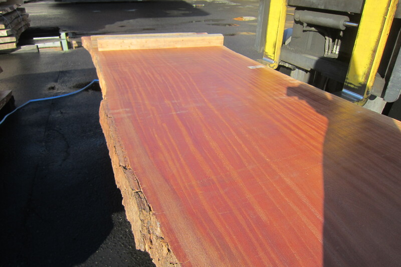 シンガポールマホガニー 2