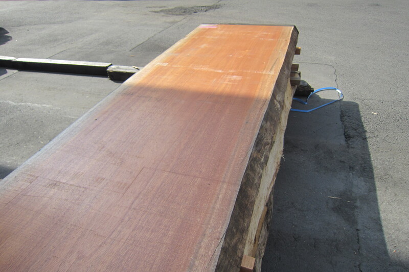 アフリカンマホガニー 6