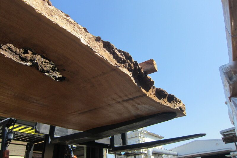 マーブルウッド 5