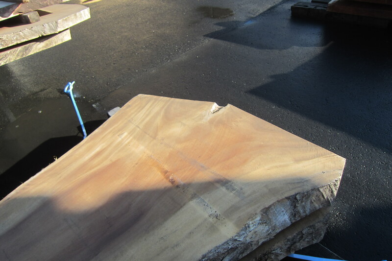 モンキーポット 6