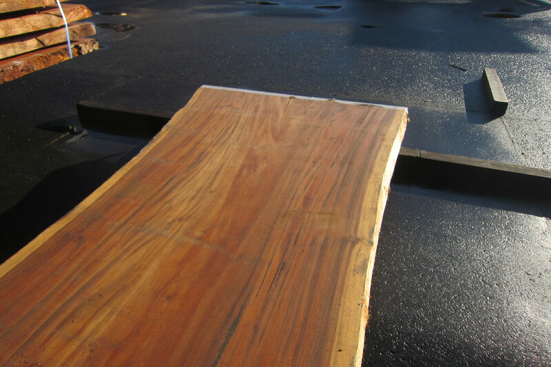 モンキーポット 3